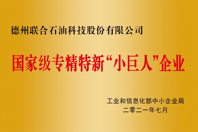 國家級專(zhuān)精特新小巨人企業(yè)